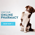 Shop our online pharmacy