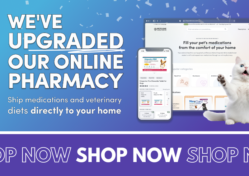 Shop our online pharmacy