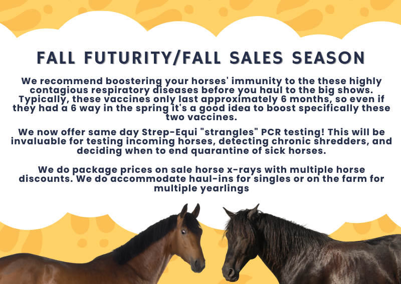 Carousel Slide 4: Fall Futurity/Fall Sales Season